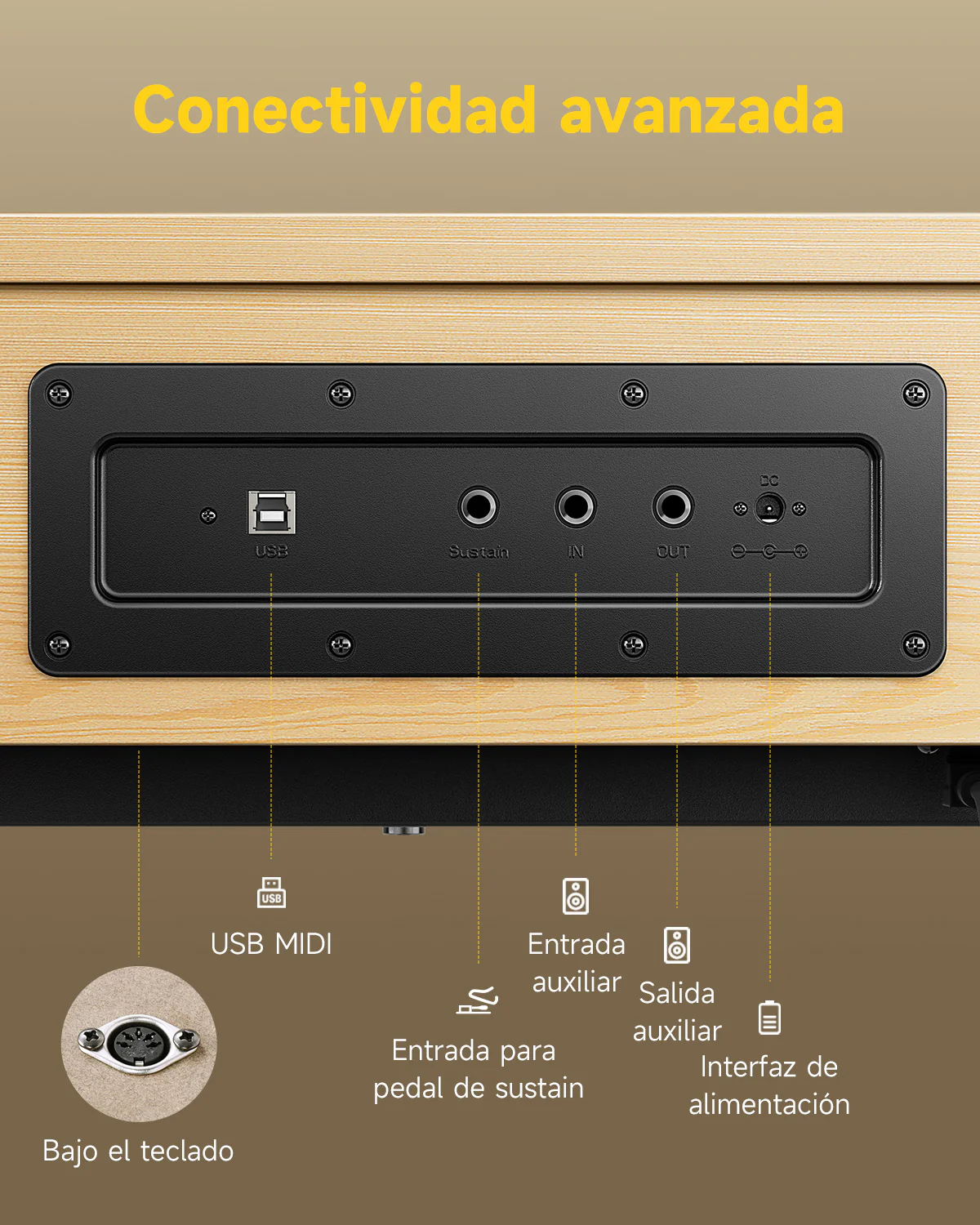 Donner OURA™ R300 Piano digital de estilo casero - Image 12