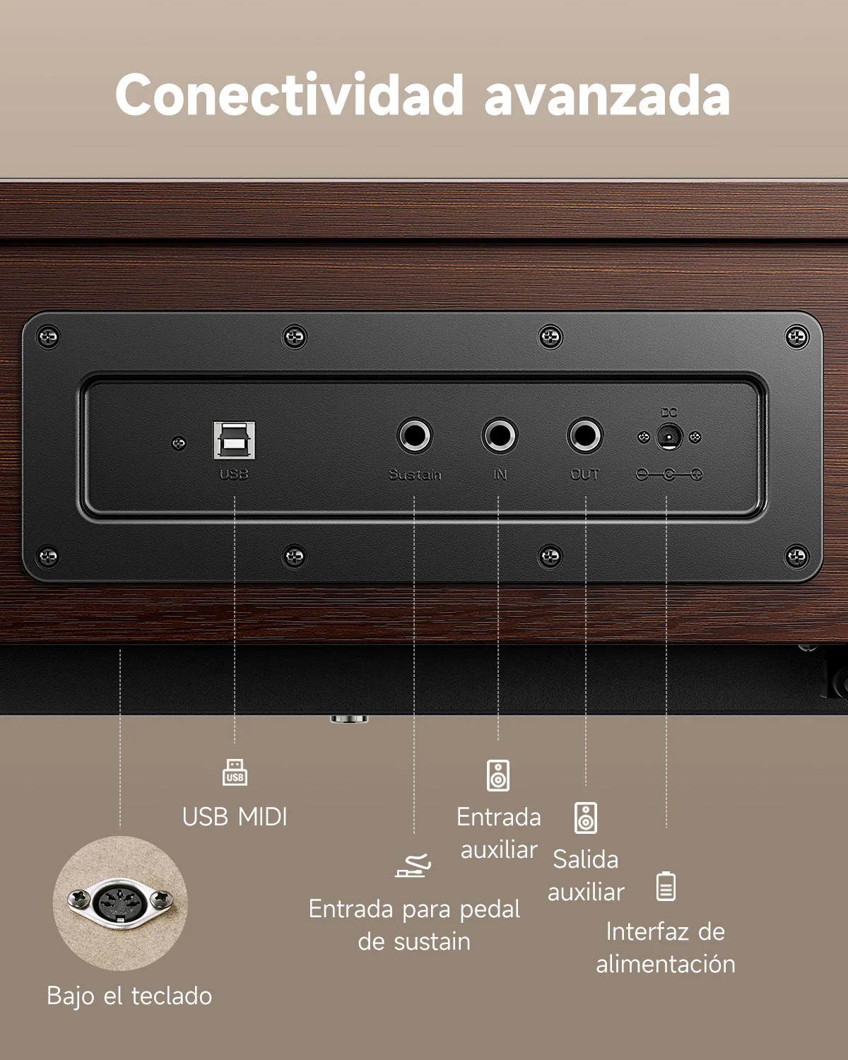 Donner OURA™ R300 Piano digital de estilo casero - Image 20