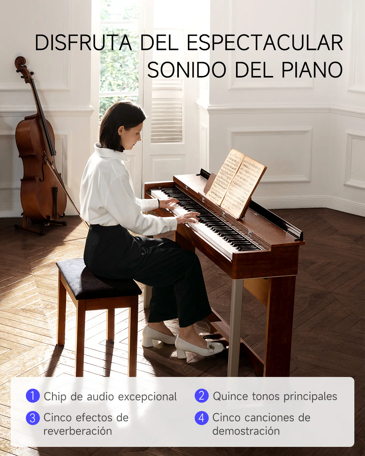 Donner DDP-200 MK2 Piano Digital con Acción de Martillo Graduada - Image 29
