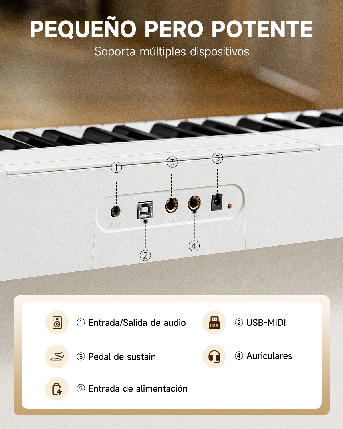 Donner DK-10S 61 teclas Teclado electrónico - Image 17