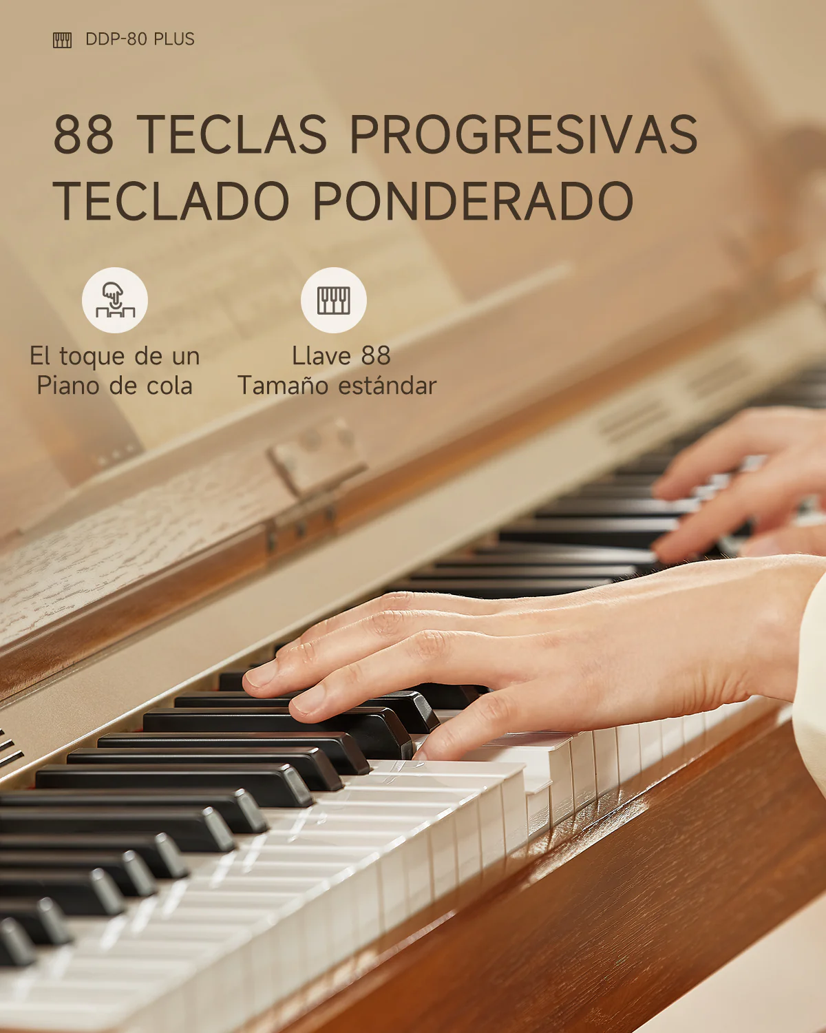 Donner DDP-80 PLUS Piano digital con tapa semiabierta - Image 16