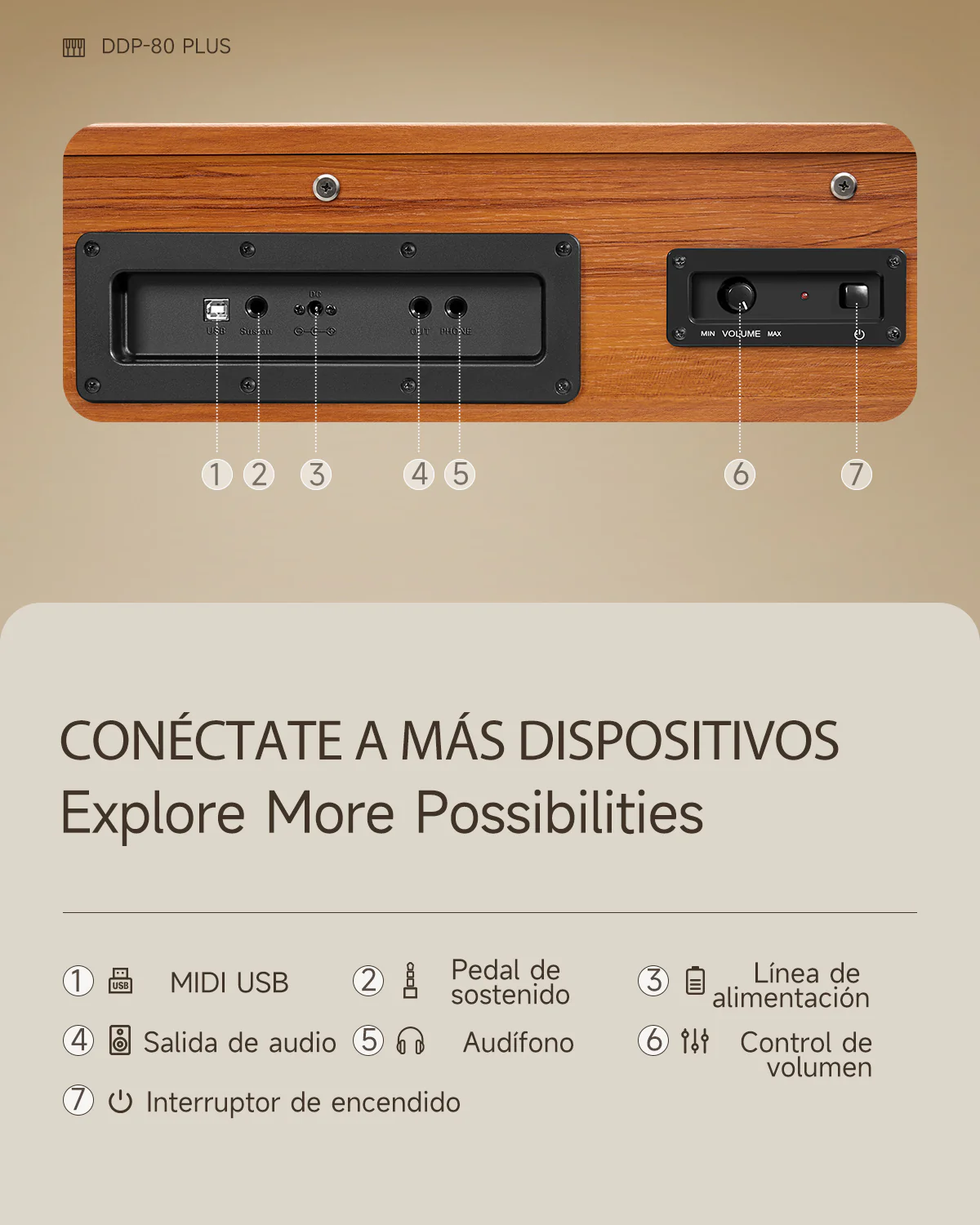 Donner DDP-80 PLUS Piano digital con tapa semiabierta - Image 17